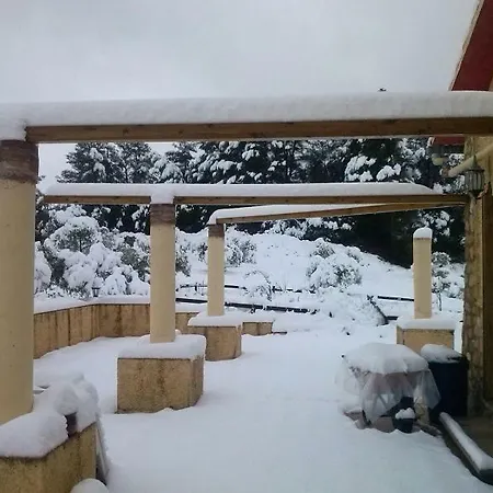 Nyaraló Mas Arboretum *